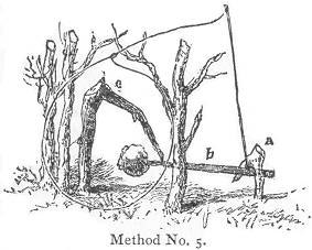 Method No. 5.