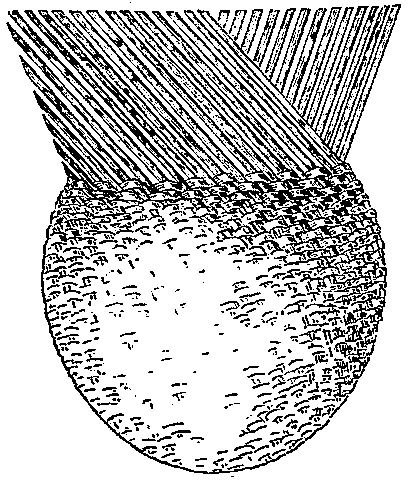 Fig. 515