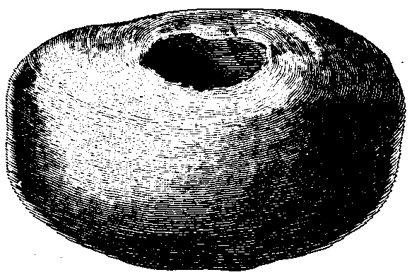 Fig. 527