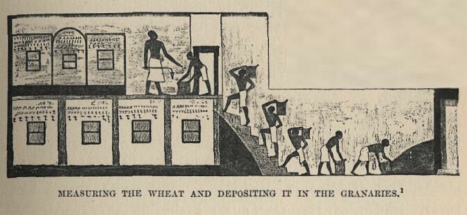 061.jpg Measuring the Wheat and Depositing It in The Granaries 