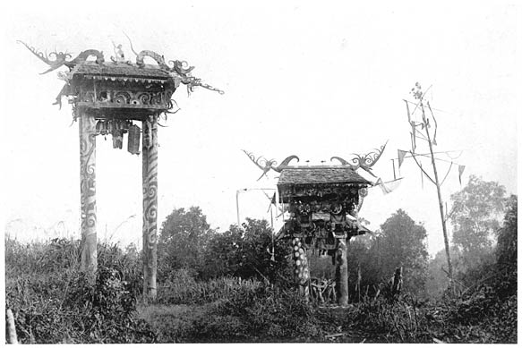 Kubu auf dem Wege nach Tanah Putih.