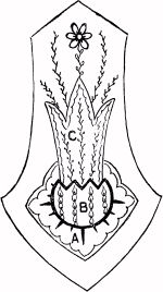 PATTERN OF EACH OF THE FOUR SIDES OF SCRAP-BAG.