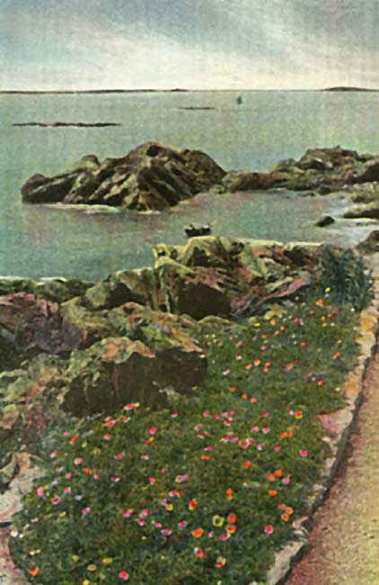 A Seaside Garden.