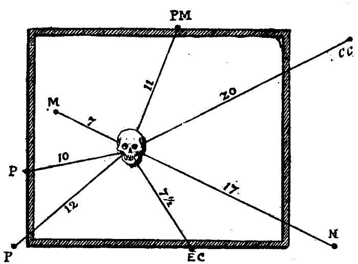 THE PUZZLING DOCUMENT