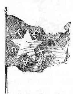 Lone Star Flag