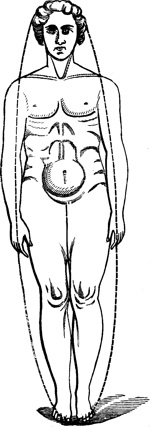 Illustration: Fig. 100. Male