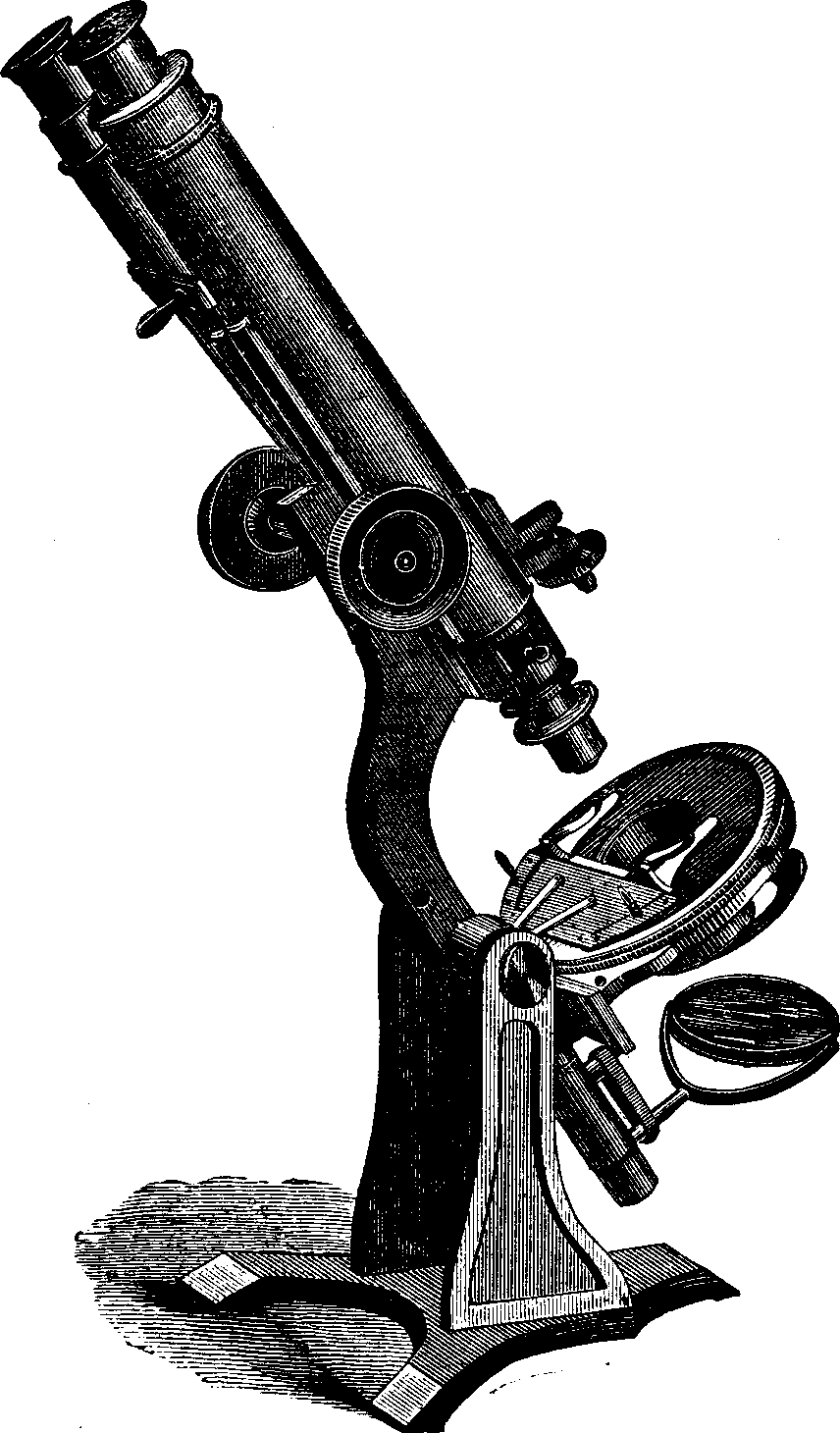 Illustration: Binocular Microscope