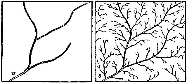 Fig. 10.—Showing the diverse action of rain on wooded and cleared fields, a, wooded area; b, tilled ground.