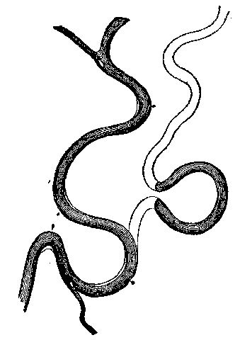 Fig. 11.—Oxbows and cut-off. Showing the changes in the course of a river in its alluvial plain.