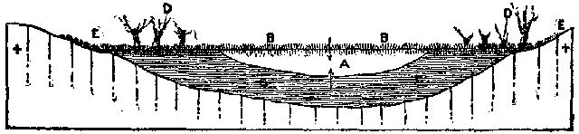 Fig. 18.—Diagram showing development of swamp: A, remains of lake; B, surface growth; c, peat.