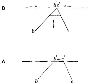 Fig. 21.—Diagram showing how a portion of the earth's surface may be sunk by faulting. Fig. A shows the original position; B, the position after faulting; b b' and c c' the planes of the faults; the arrows the direction of the movement.