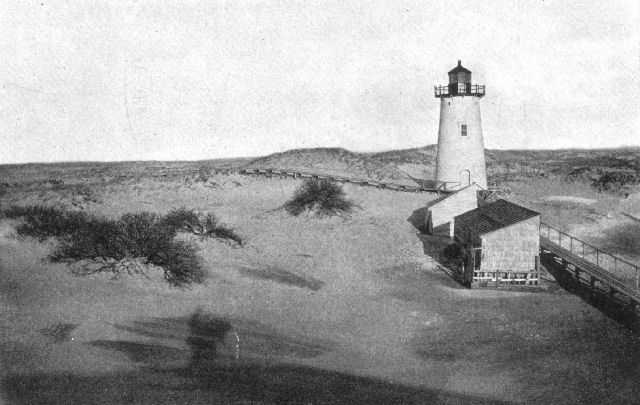 Dunes at Ipswich Light, Massachusetts. Note the effect of bushes in arresting the movement of the wind-blown sand.