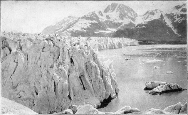 Front of Muir Glacier, showing ice entering the sea; also small icebergs.