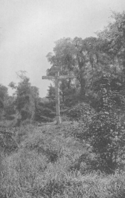 THE CALVARY AT HARE STREET, 1913