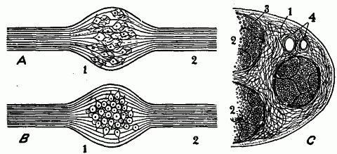 Fig. 128