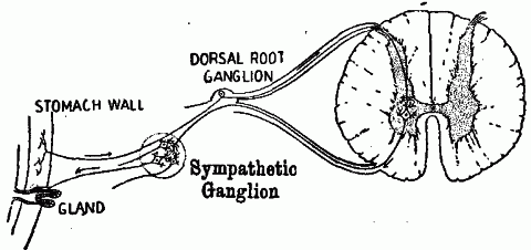 Fig. 139