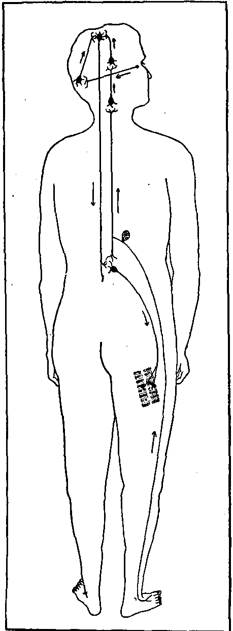 Fig. 143