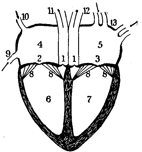 Fig. 15