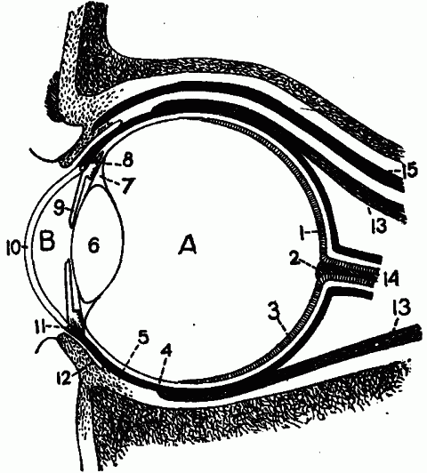 Fig. 159