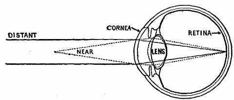 Fig. 161