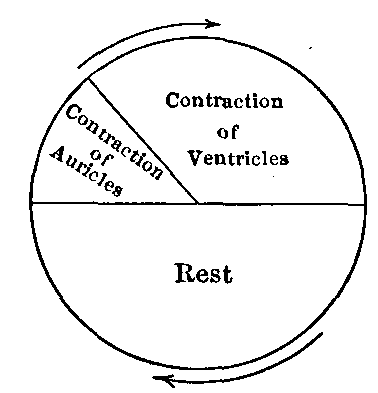 Fig. 18