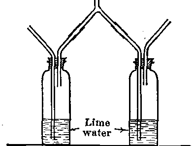 Fig. 50