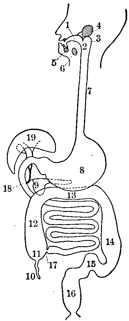 Fig. 63