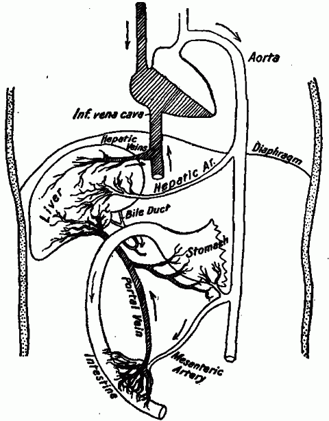 Fig. 72