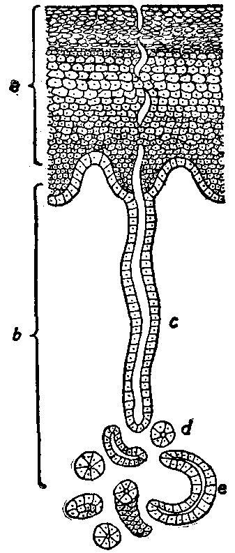 Fig. 91