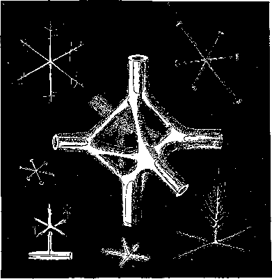 SPONGE CRYSTALS MAGNIFIED.