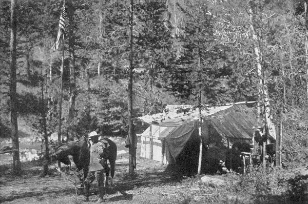 WILBUR'S OWN CAMP.