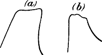 Fig. 17.—Fusion of Effect of Rapidly Succeeding Stimuli