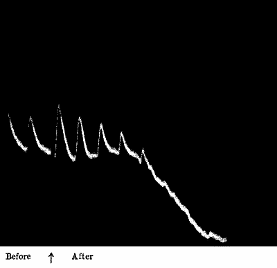 Fig. 42.—Effect of Steam in Killing Response