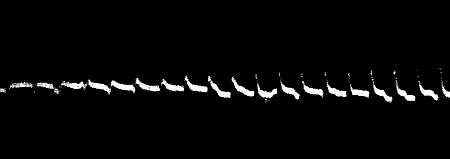 Fig. 78.—The Gradual Transition from Abnormal To Normal Response in Platinum