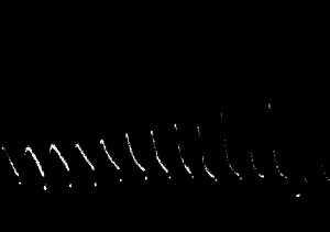 Fig. 84.—A Second Set of Records with a Different Specimen of Tin