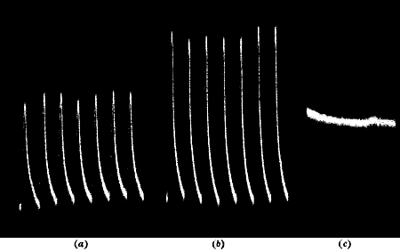 Fig. 94.—Opposite Effects of Small and Large Doses (Tin)