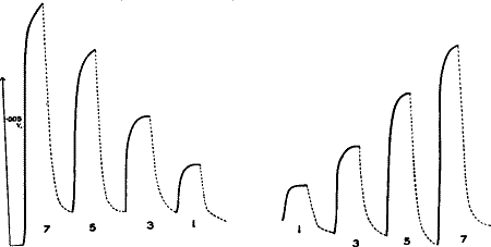 Fig. 103.—Responses of Sensitive Cell to various Intensities of Light