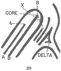 Fig. 39