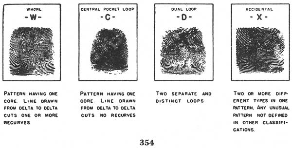 Fig. 354