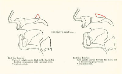 nasal tone