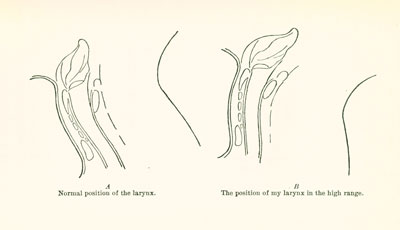 larynx