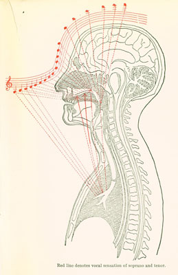 soprano and tenor