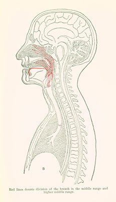 middle and higher range