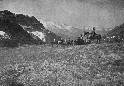 A high mountain meadow