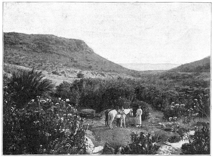 De wadi Hadedsj.