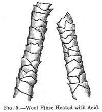 Wool Fibre Heated with Acid