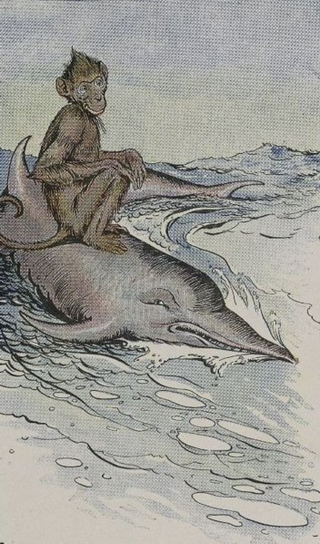 THE MONKEY AND THE DOLPHIN