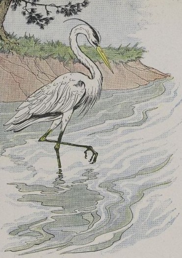 THE HERON