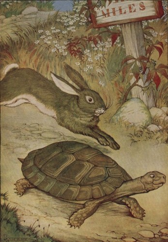 THE HARE AND THE TORTOISE