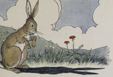 THE HARE AND HIS EARS